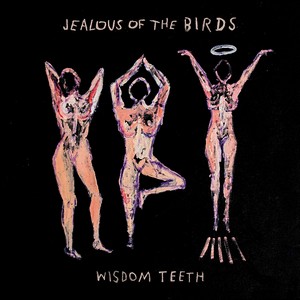 Jealous Of The Birds - Wisdom Teeth (Music CD)
