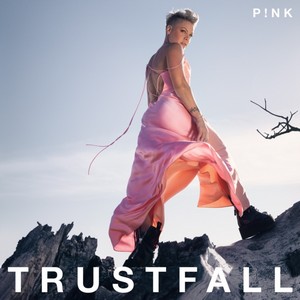 P!nk - Trustfall (Music CD)