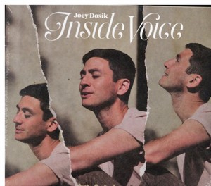 Joey Dosik - Inside Voice (Music CD)