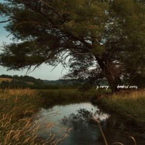 S. Carey - Hundred Acres (Music CD)