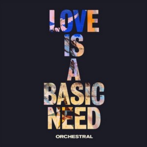 Embrace - Love Is A Basic Need (Orchestral) (Music CD)