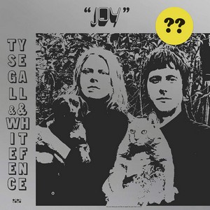 Ty Segall & White Fence - Joy (Music CD)