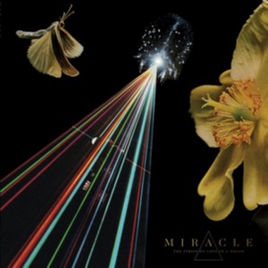 Miracle - The Strife of Love in a Dream (Music CD)