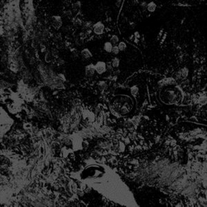 Primitive Man & Unearthly Trance - Split (Music CD)