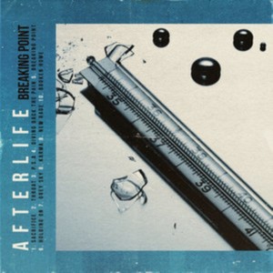 Afterlife - Breaking Point (Music CD)