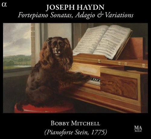 Hadyn: Fortepiano Sonatas  Adagio & Variations (Music CD)