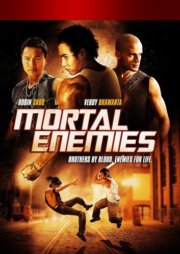 Mortal Enemies (DVD)