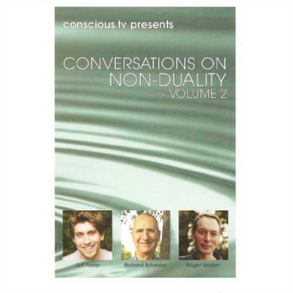 Conversations On Non-Duality Vol.2 (DVD)