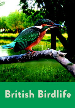 British Birdlife (DVD)