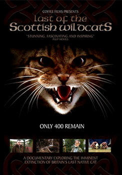Last Of The Scottish Wildcats (DVD)