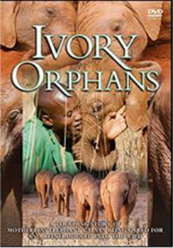 Ivory Orphans (DVD)