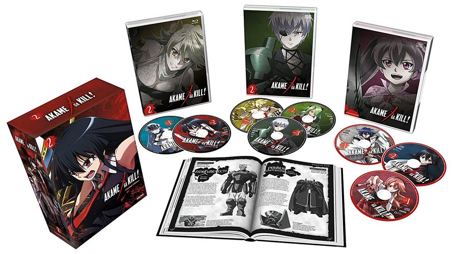 Akame Ga Kill Collection 2 (Episodes 13-24) Deluxe Collectors Edition [Blu-ray]