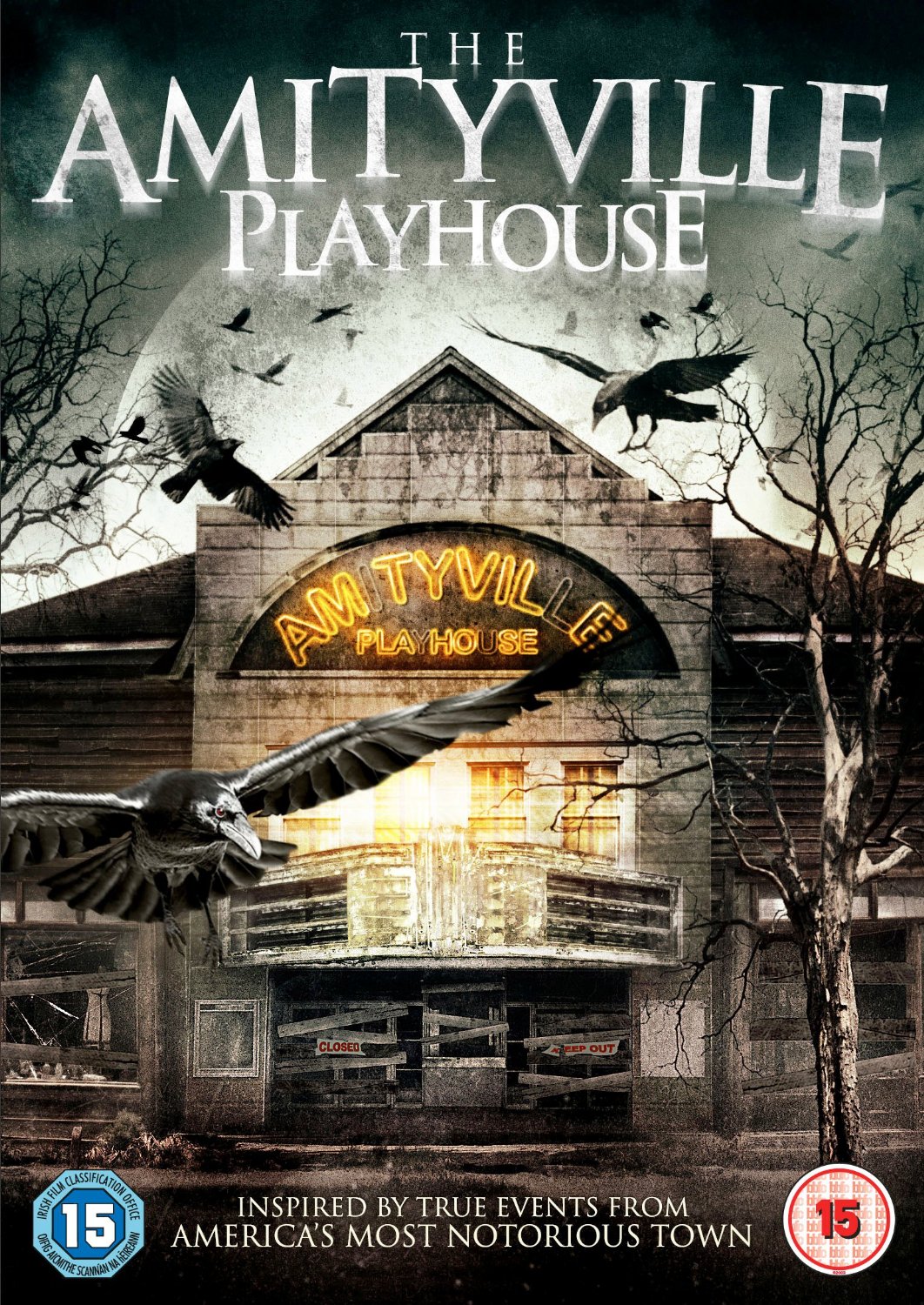 The Amityville Playhouse (DVD)