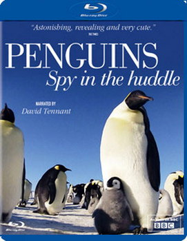 Penguins: Spy in the Huddle (Blu-ray)