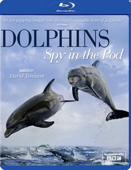 Dolphins Spy in the Pod (Blu-Ray)