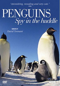 Penguins: Spy In The Huddle (DVD)