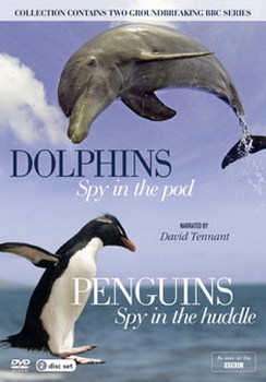 The Spy Collection - Penguins And Dolphins (DVD)