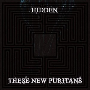 These New Puritans - Hidden (vinyl)
