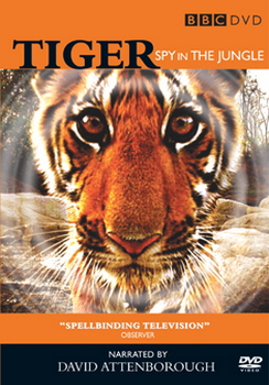 Tigers - Spy In The Jungle (DVD)