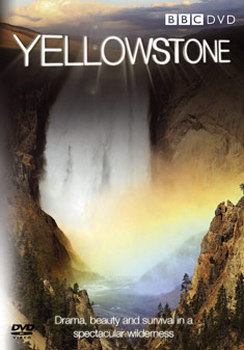 Yellowstone: Tales From The Wild (DVD)