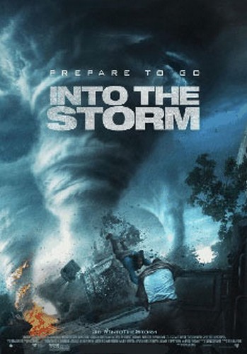 Into The Storm (DVD)