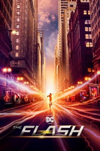 The Flash: Season 9 [DVD]
