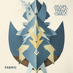 Black Seeds (The) - Fabric (Music CD)