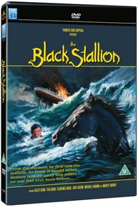 The Black Stallion (DVD)
