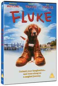 FLUKE [1995]