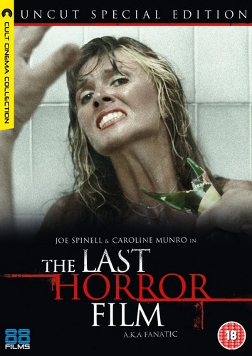 The Last Horror Film (DVD)