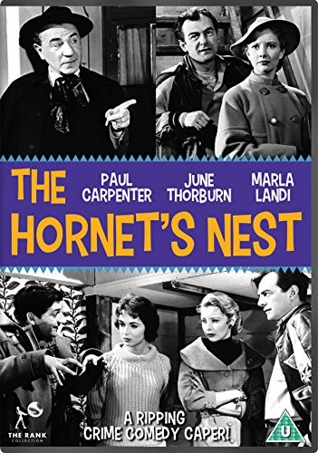 The Hornet's Nest (DVD)