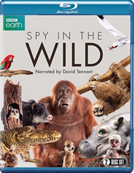 Spy in the Wild (Blu-ray)