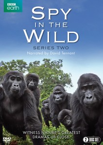 Spy in the Wild: Series 2 (DVD)