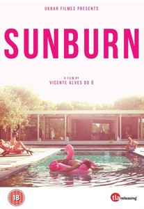 Sunburn (DVD)