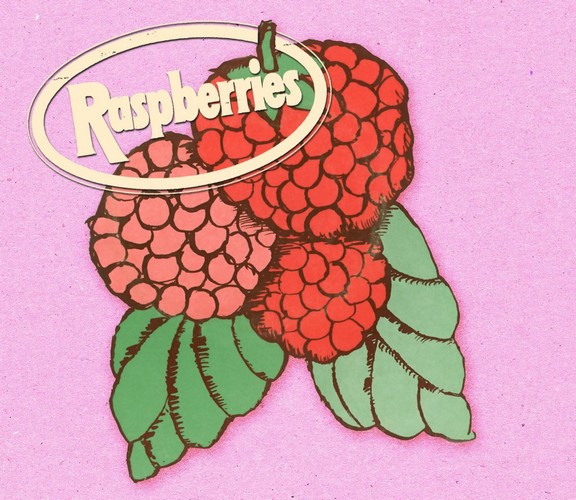 Raspberries - Classic Album Set (Music CD)