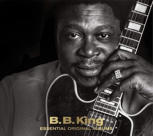 B.B. King - Essential Original Albums (Music CD)