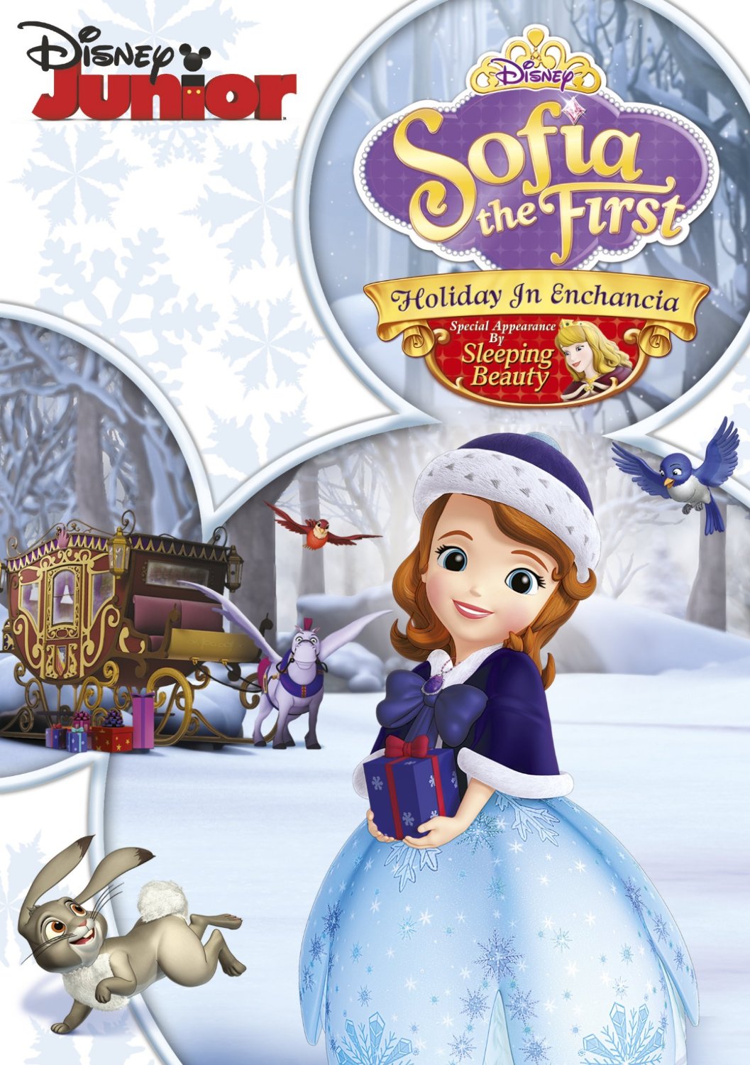 Sofia The First: Holiday In Enchancia (DVD)