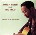 Muddy Waters - Sings Big Bill Broonzy (Music CD)