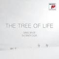 Daniel Taylor - Tree of Life (Music CD)