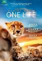 One Life (DVD)