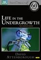 David Attenborough: Life In The Undergrowth - The Complete Seires (2005) (DVD)