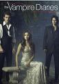 The Vampire Diaries - Season 4 (DVD)