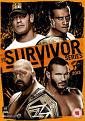 Wwe: Survivor Series 2013 (DVD)