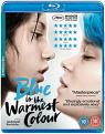Blue Is The Warmest Colour (Blu-Ray) (DVD)