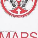 30 Seconds To Mars - A Beautiful Lie (Music CD)