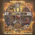 Badly Drawn Boy - Hour Of Bewilderbeast (Music CD)