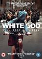 White God (DVD)