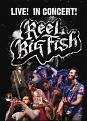 Reel Big Fish - Live In Concert (DVD)