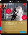 Le nozze di Figaro - 4k Ultra HD Bluray (Blu-ray disc) [2016] (Blu-ray)