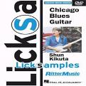Shun Kikuta - Lick Samples - Chicago Blues Guitar (DVD)